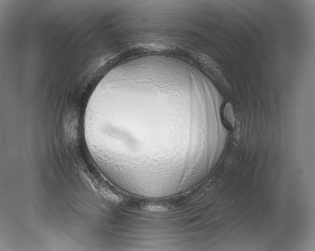X0000080780596200701051329
