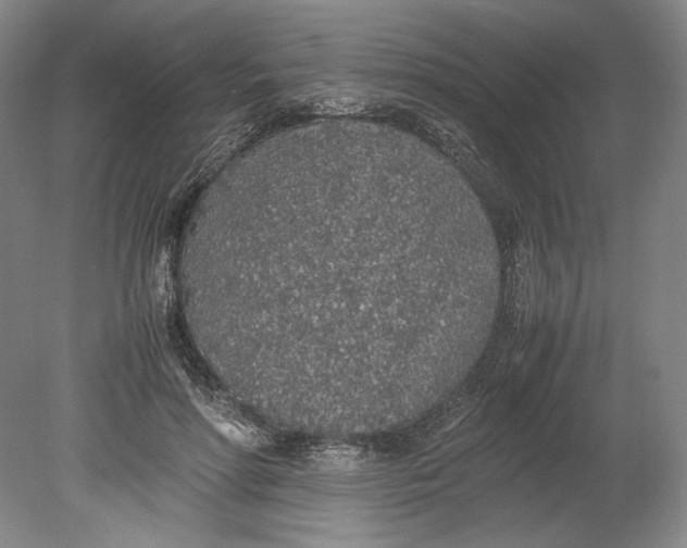 X0000080780598200701051329