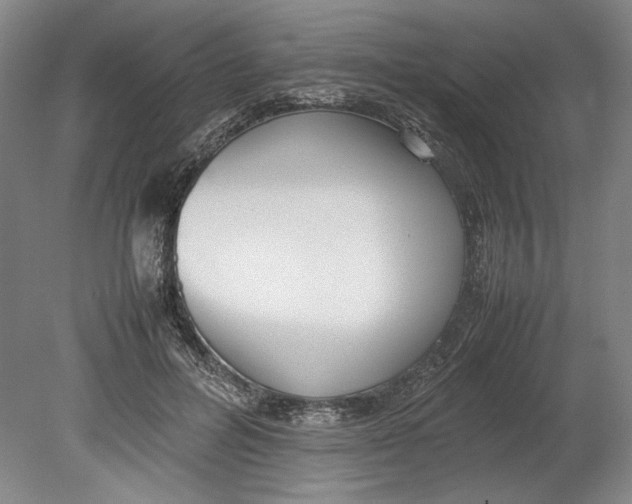 X0000080780600200701051329