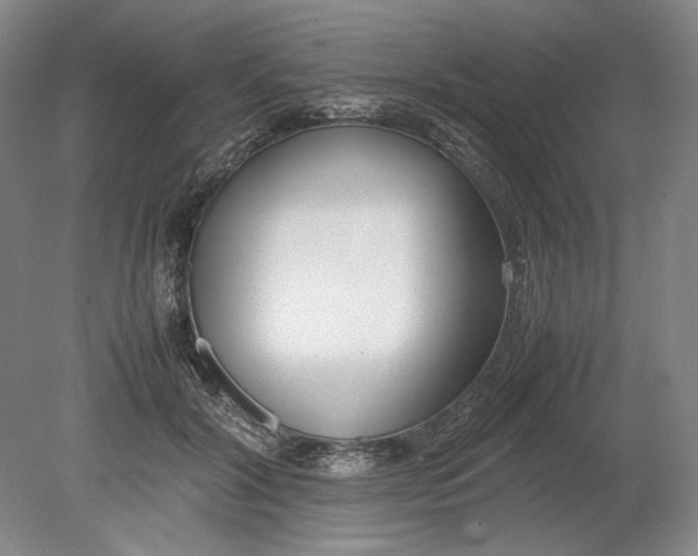 X0000080780604200701051329