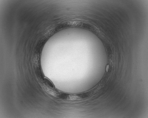 X0000080780605200701051329