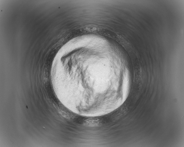X0000080780606200701051329