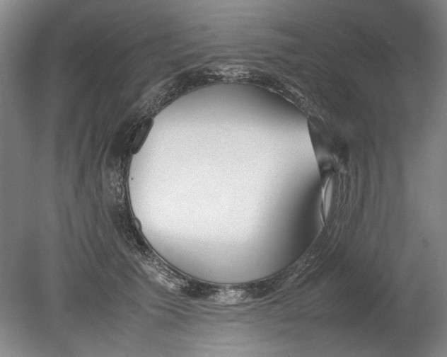 X0000080780609200701051329