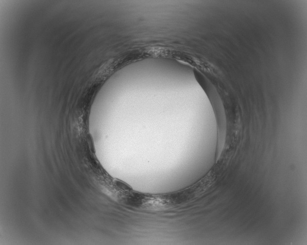 X0000080780611200701051329