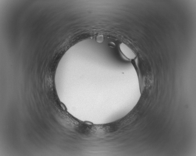 X0000080780613200701051329