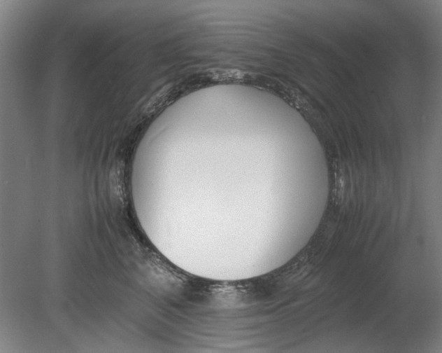 X0000080780616200701051329