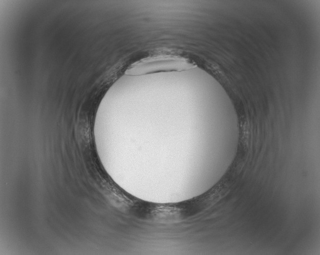 X0000080780617200701051329