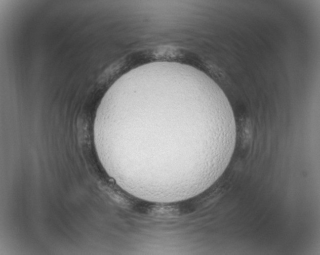 X0000080780619200701051329