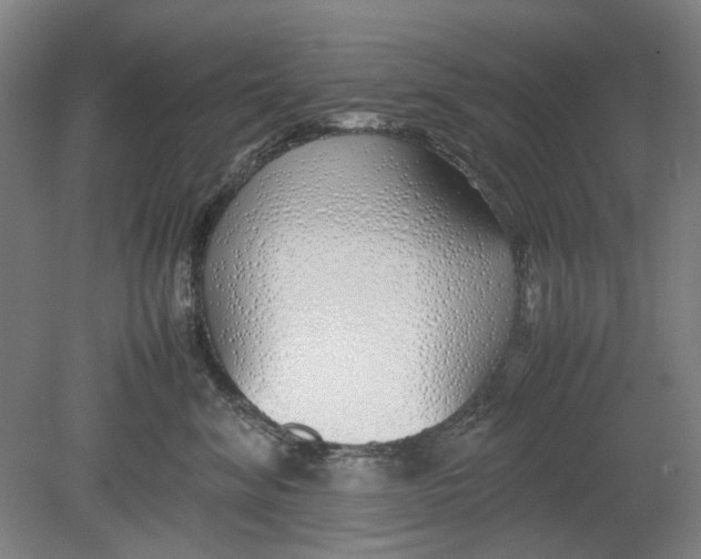X0000080780620200701051329