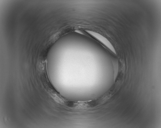 X0000080780621200701051329