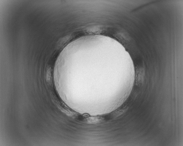 X0000080780623200701051329