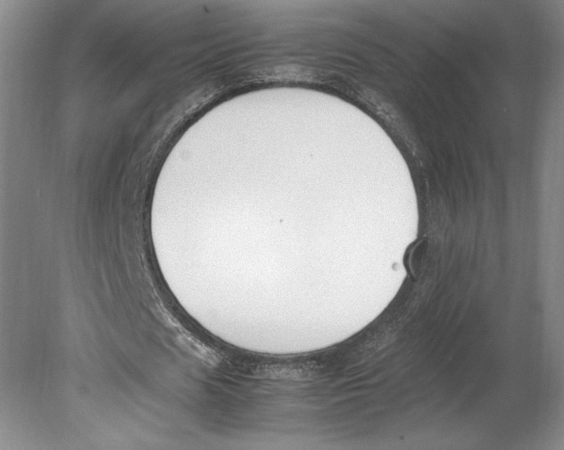 X0000080780625200701051328