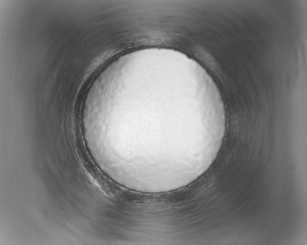 X0000080780626200701051328