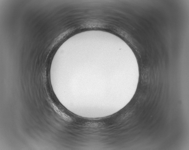 X0000080780629200701051328
