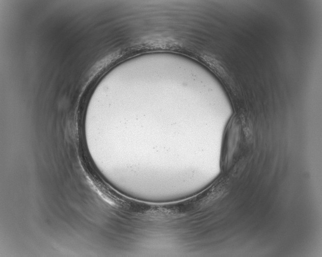 X0000080780630200701051328