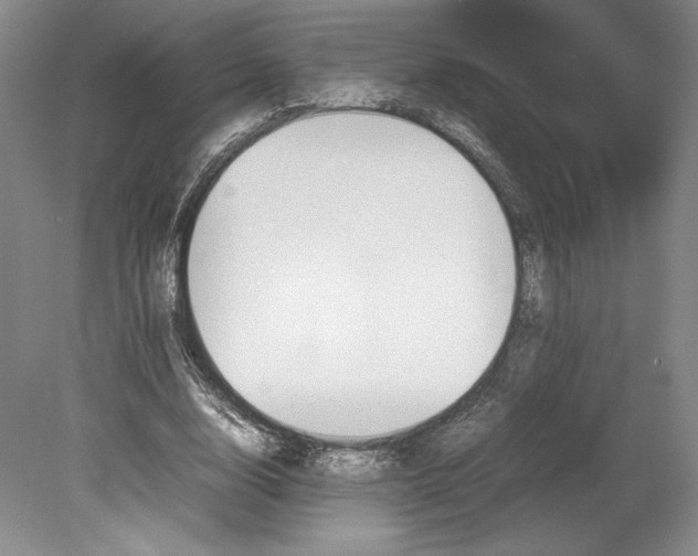 X0000080780632200701051328