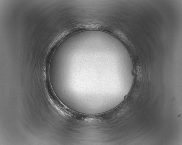 X0000080780634200701051328