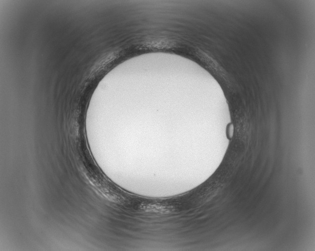 X0000080780635200701051328