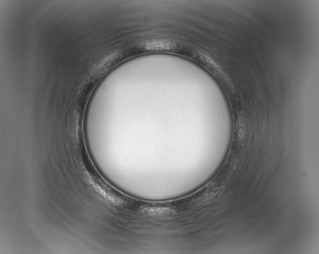 X0000080780637200701051328