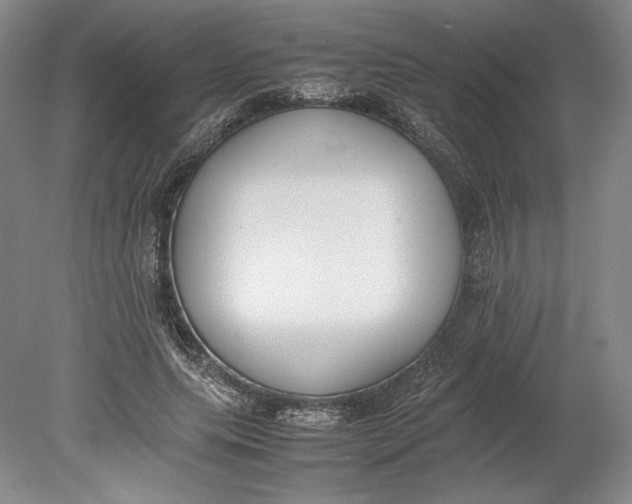 X0000080780639200701051328