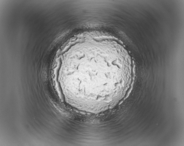 X0000080780640200701051328