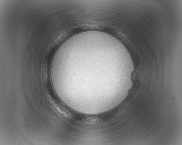 X0000080780642200701051328