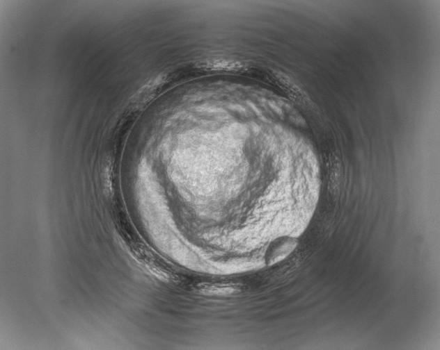 X0000080780643200701051328