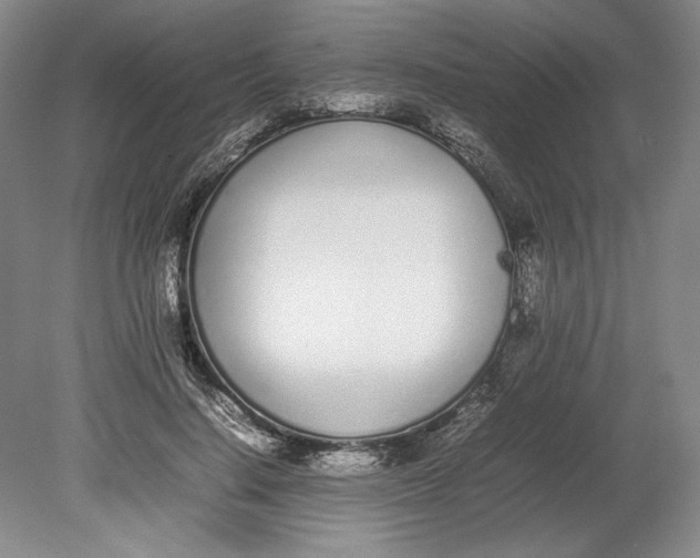 X0000080780644200701051328