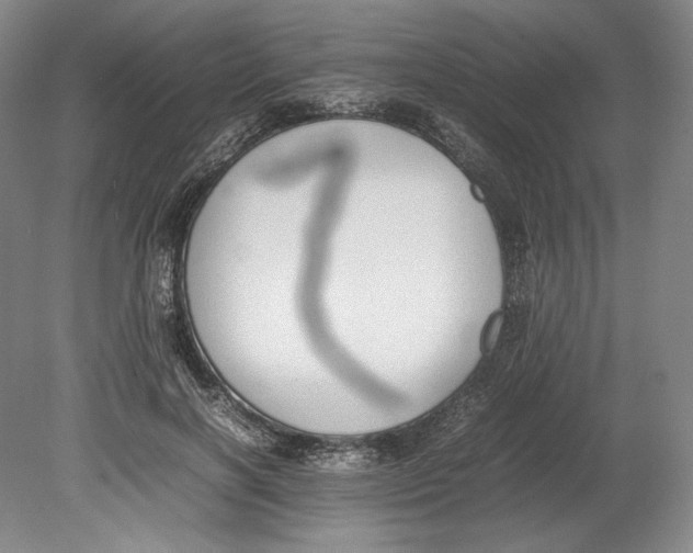 X0000080780646200701051329
