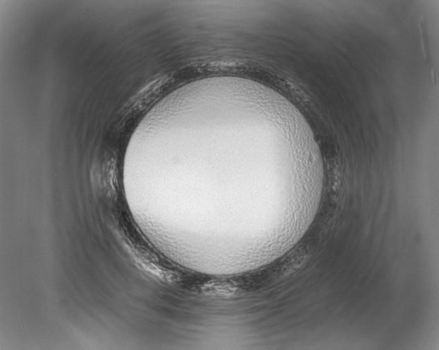 X0000080780648200701051329