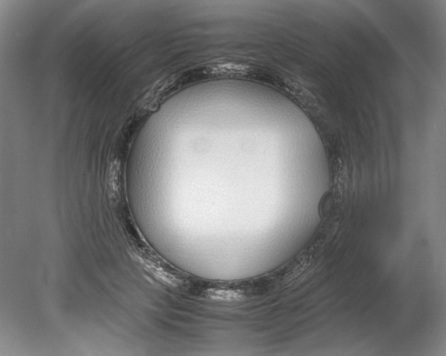 X0000080780649200701051329
