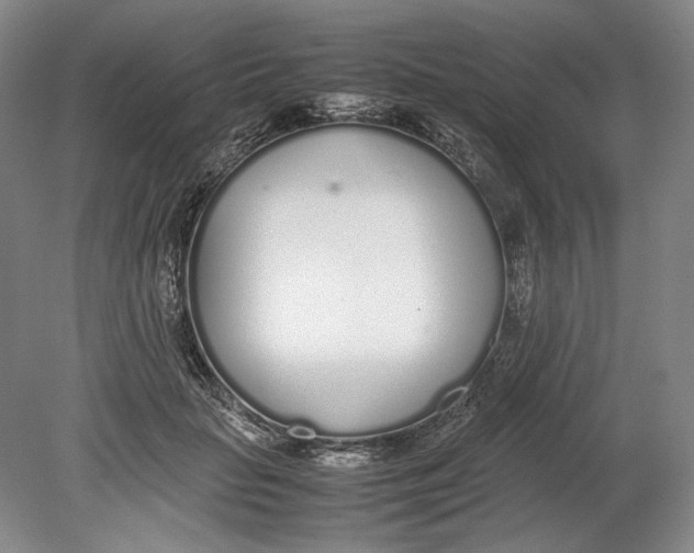 X0000080780653200701051329