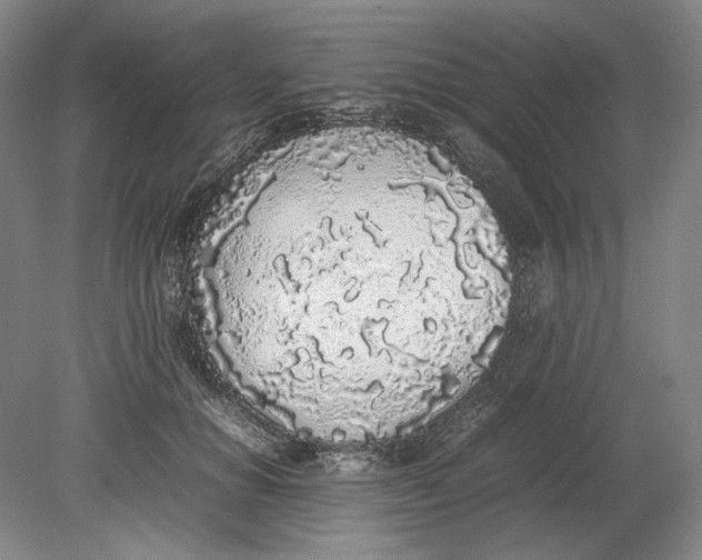X0000080780654200701051329