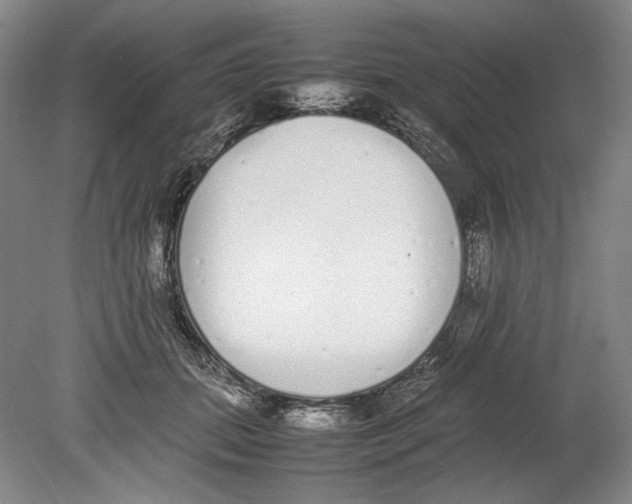 X0000080780655200701051329