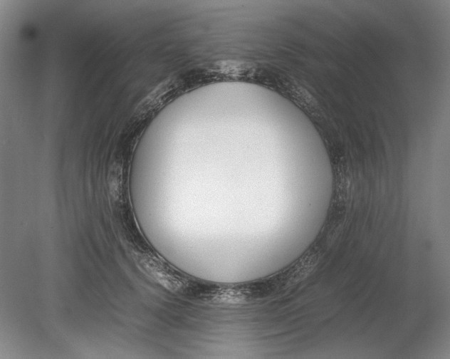 X0000080780656200701051329