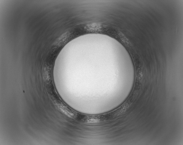 X0000080780658200701051329