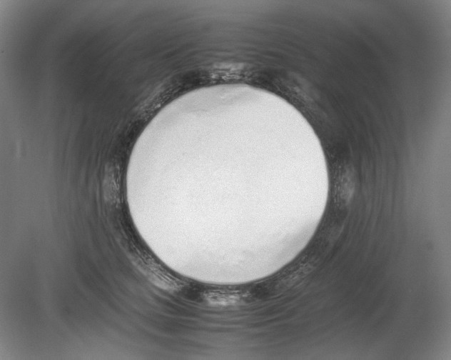 X0000080780661200701051329