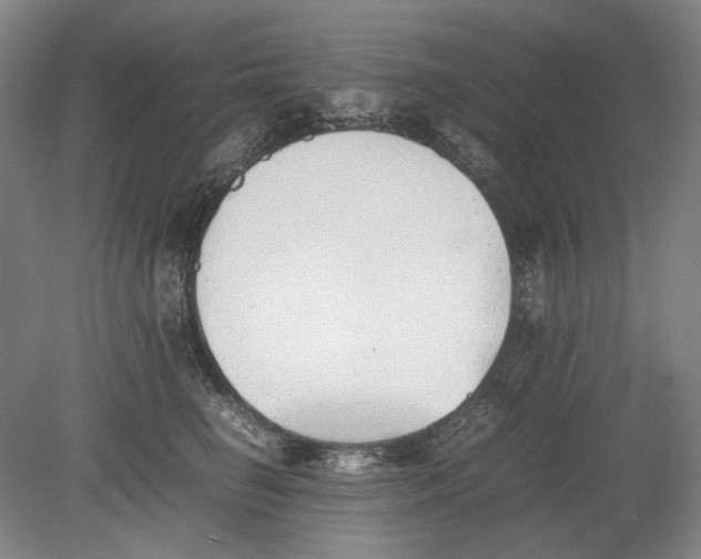 X0000080780662200701051329