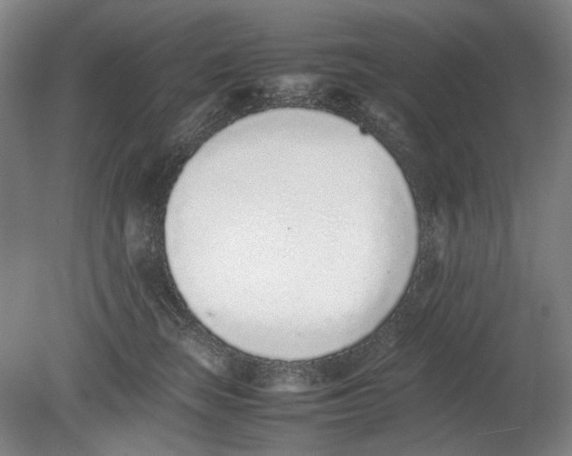 X0000080780663200701051329