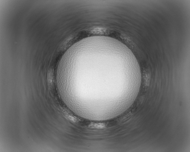 X0000080780665200701051329