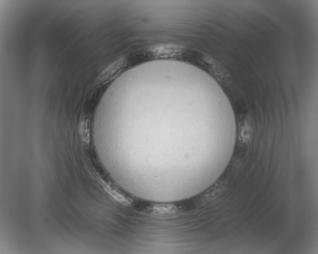 X0000080780666200701051329