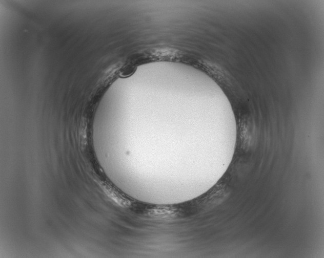 X0000080780668200701051329