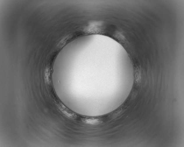 X0000080780669200701051329