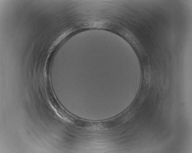 X0000080780674200701051328