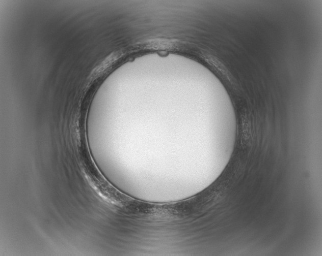 X0000080780682200701051328