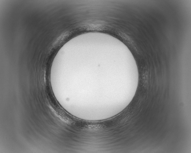 X0000080780686200701051328