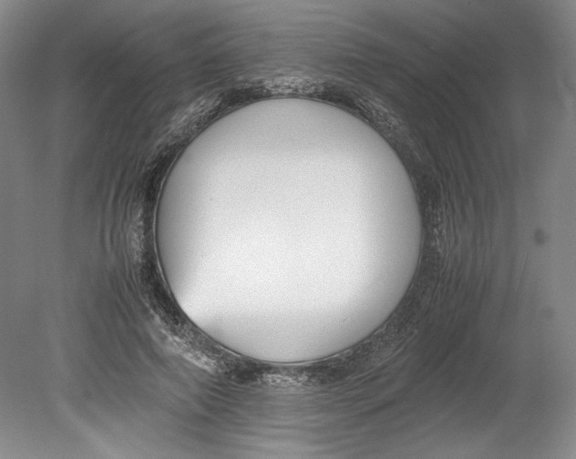 X0000080780690200701051328