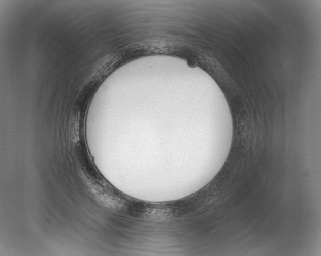 X0000080780694200701051328