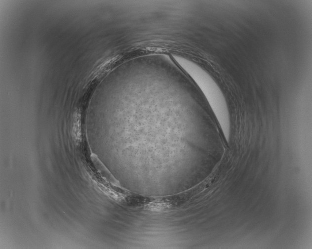 X0000080780696200701051328