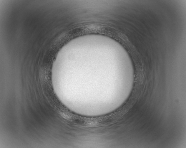 X0000080780701200701051328